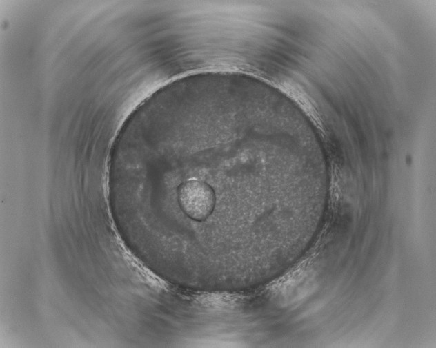 X0000087020950200704301311