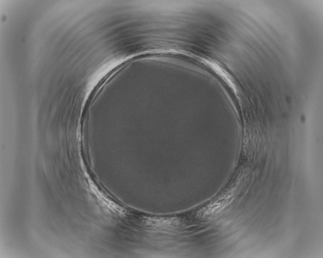 X0000087020951200704301311