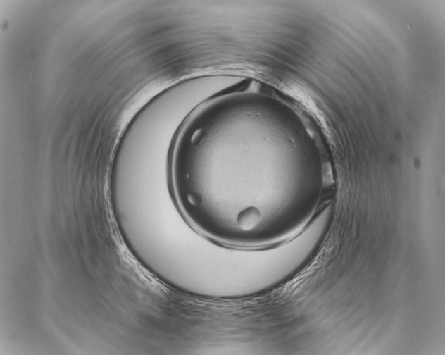 X0000087020952200704301311