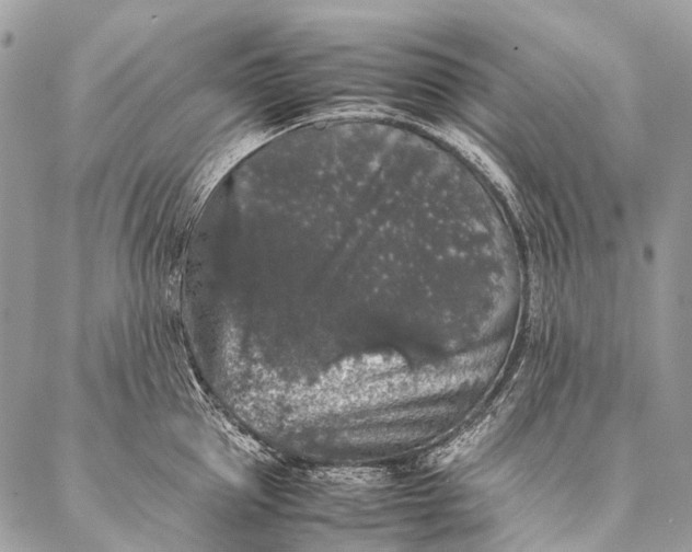 X0000087020953200704301311