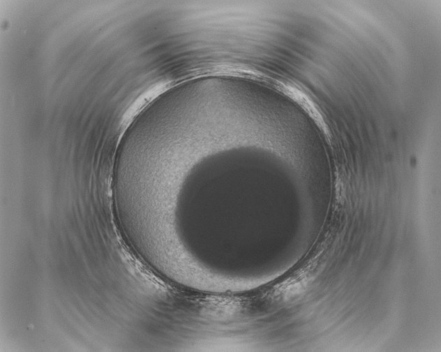 X0000087020954200704301311