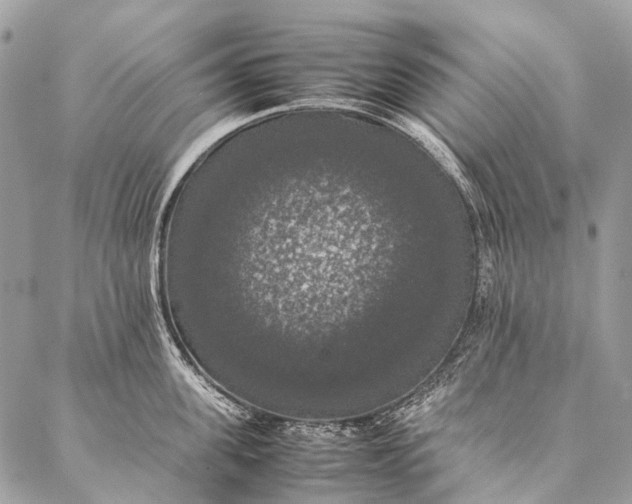 X0000087020955200704301311