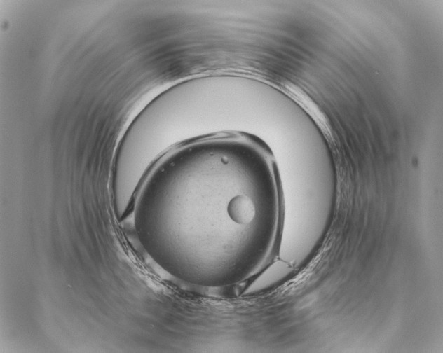 X0000087020956200704301311