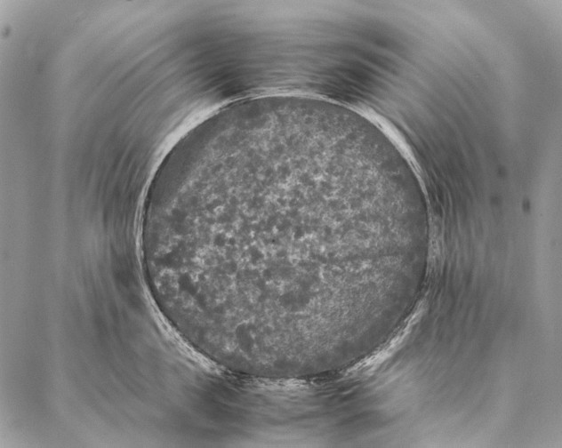 X0000087020957200704301311