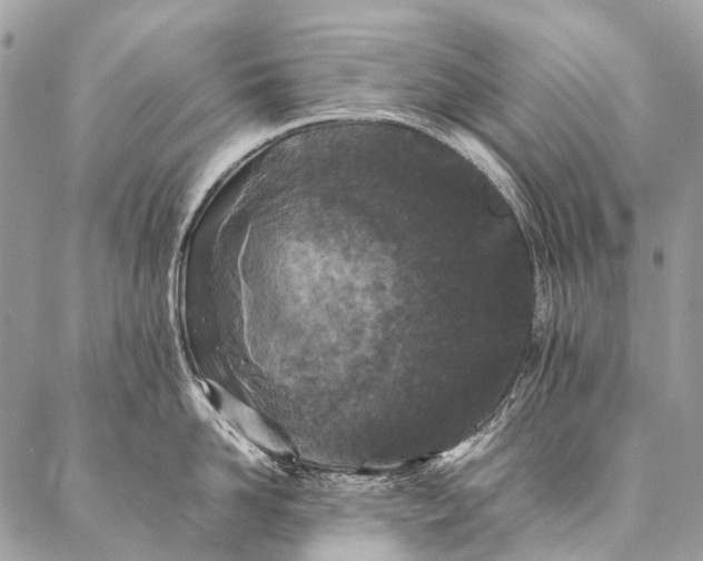 X0000087020958200704301311