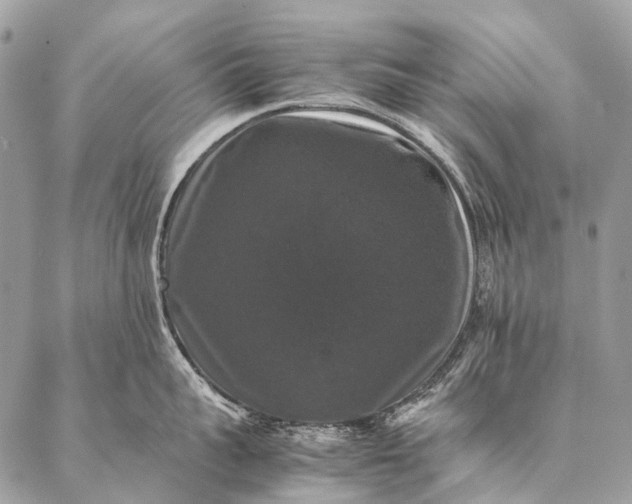 X0000087020959200704301311