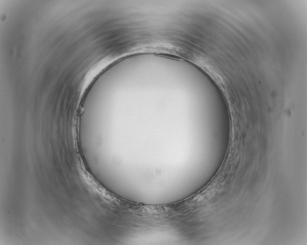 X0000087020960200704301311