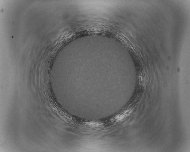 X0000087020961200704301310