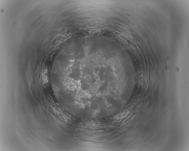 X0000087020962200704301310