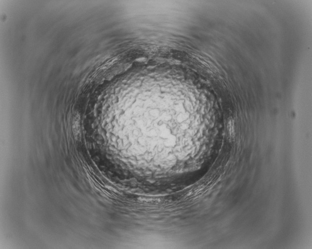 X0000087020963200704301310