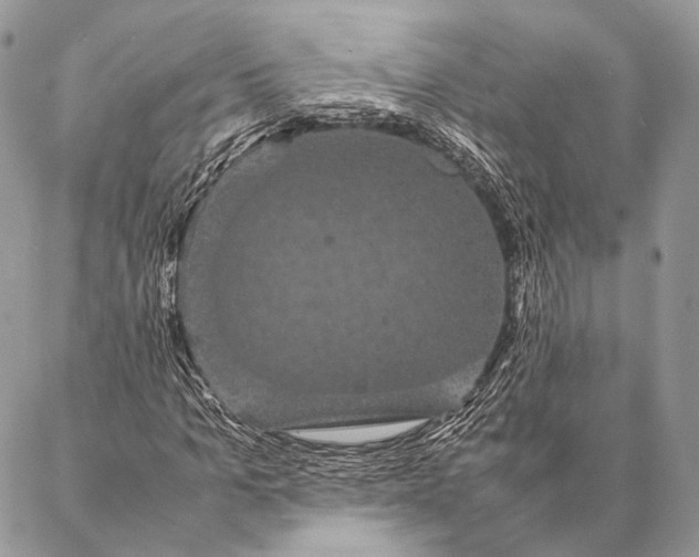 X0000087020965200704301310