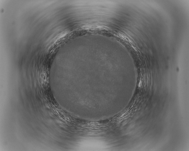 X0000087020966200704301310