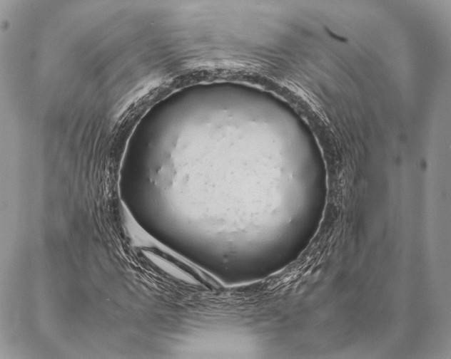 X0000087020967200704301310