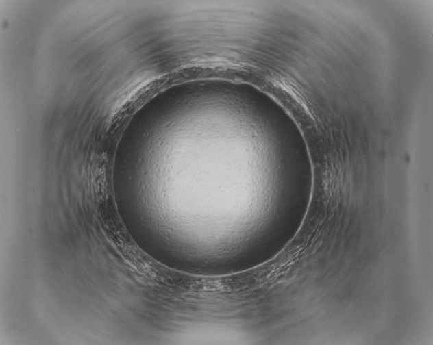 X0000087020968200704301310