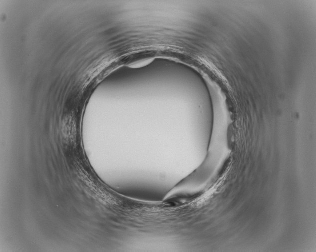 X0000087020969200704301310