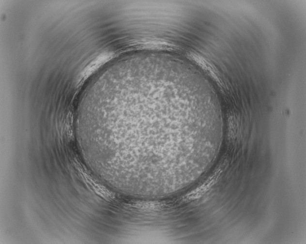 X0000087020970200704301310