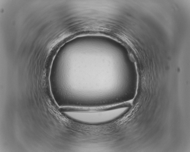 X0000087020971200704301310