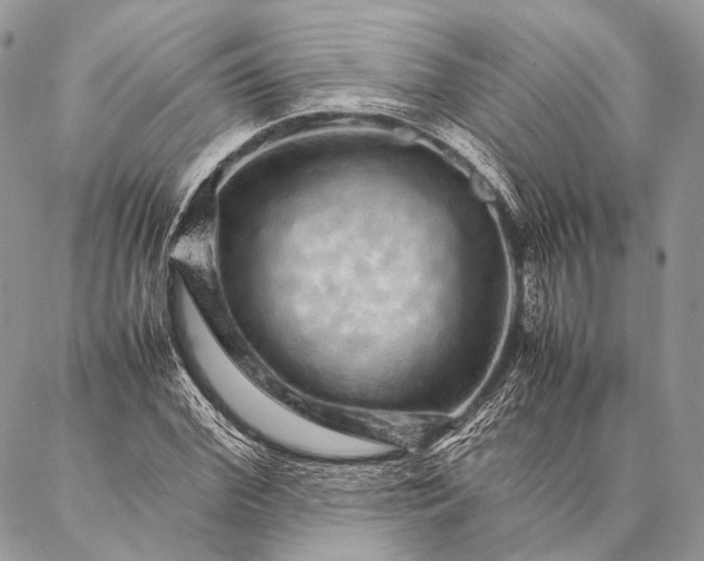 X0000087020972200704301310