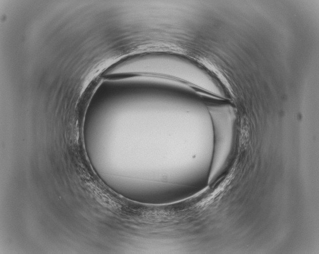 X0000087020973200704301310