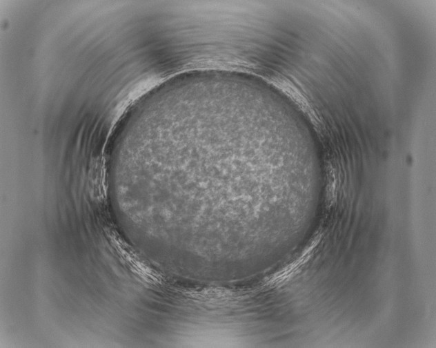 X0000087020974200704301310