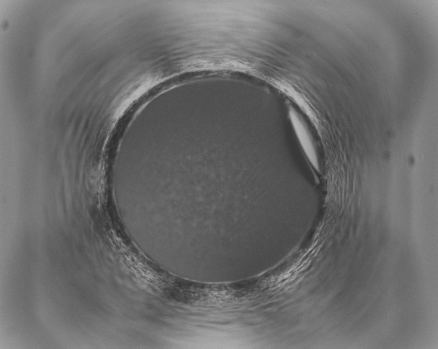 X0000087020975200704301310