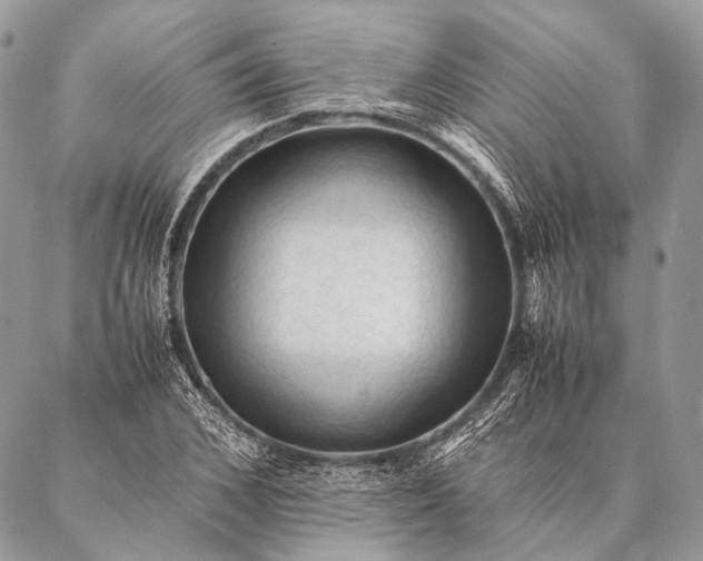 X0000087020976200704301310