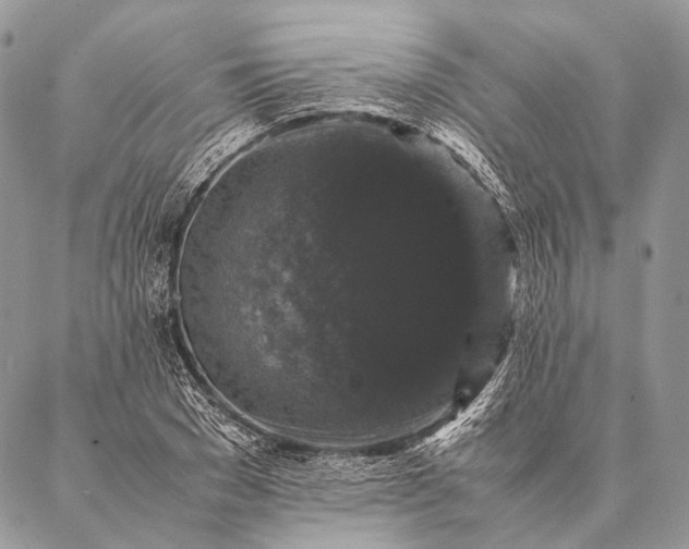 X0000087020977200704301310