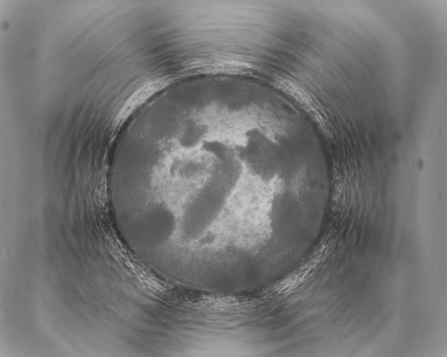 X0000087020978200704301310