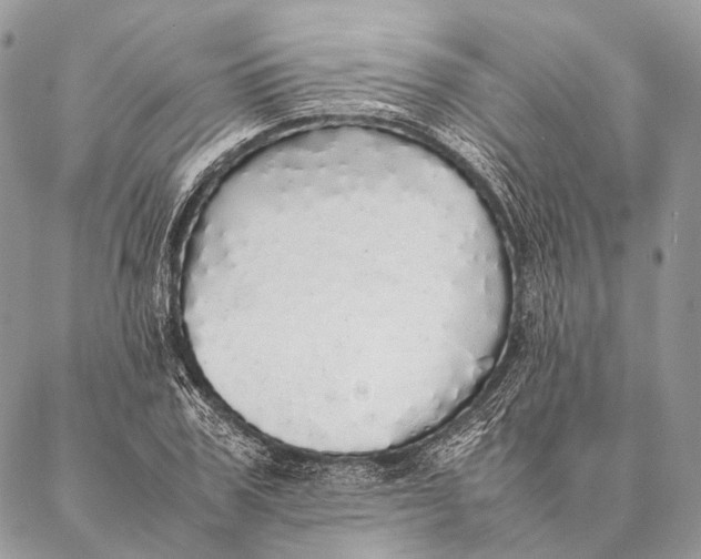 X0000087020979200704301310