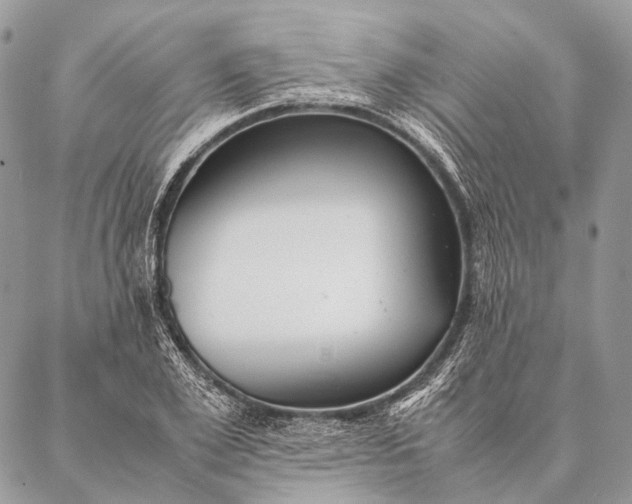 X0000087020981200704301310