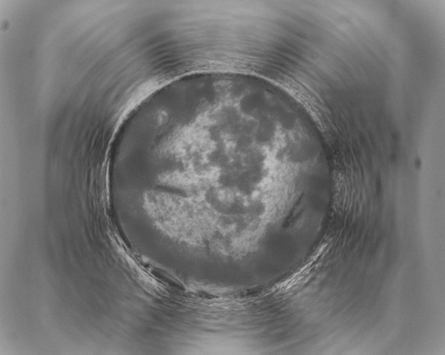 X0000087020982200704301310