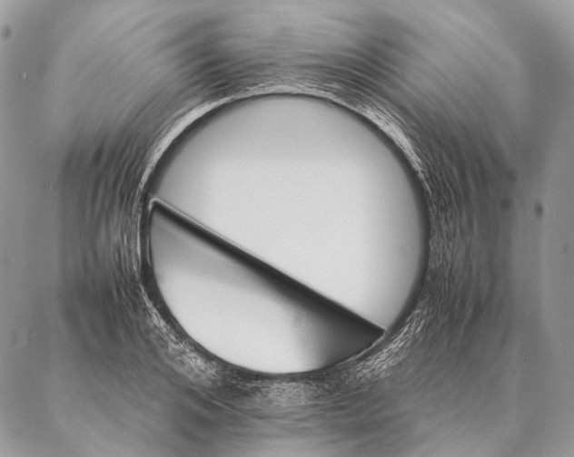 X0000087020984200704301310