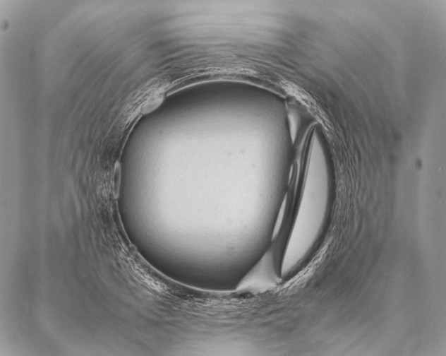 X0000087020985200704301310