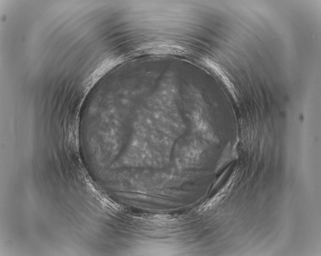 X0000087020986200704301310