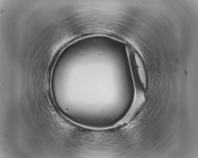 X0000087020987200704301310