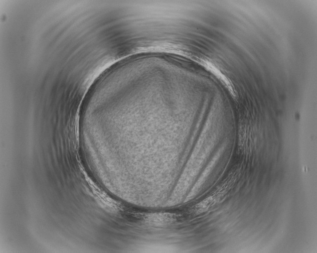 X0000087020988200704301310