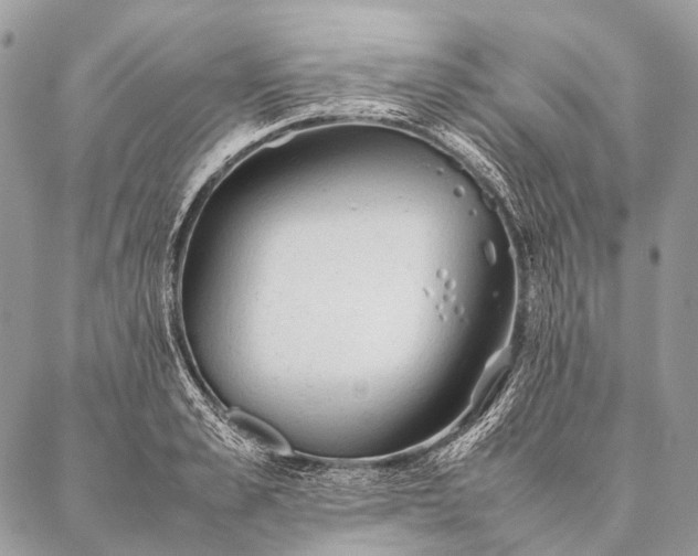 X0000087020989200704301310