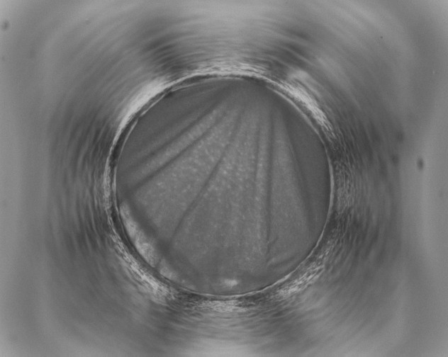 X0000087020990200704301310