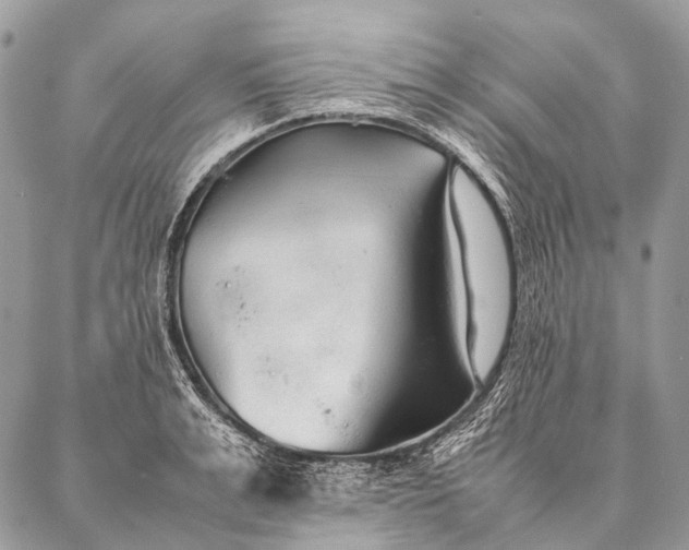 X0000087020991200704301310