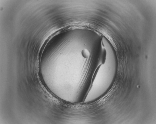 X0000087020992200704301310