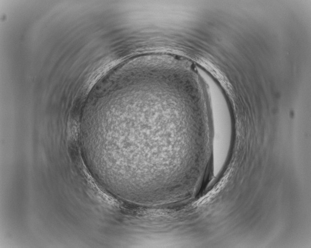 X0000087020993200704301310