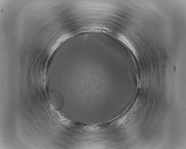 X0000087020994200704301310