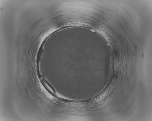 X0000087020995200704301310