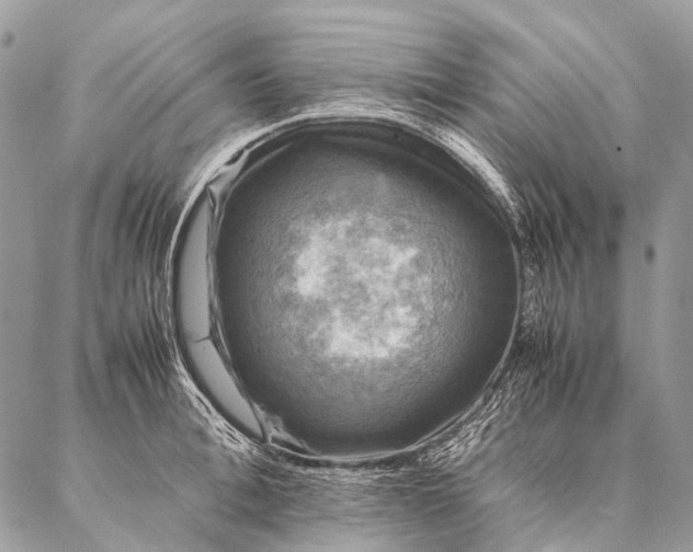 X0000087020996200704301310