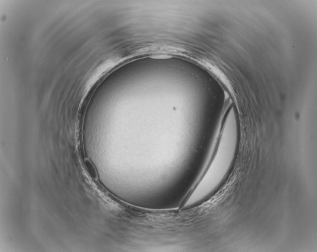 X0000087020997200704301310