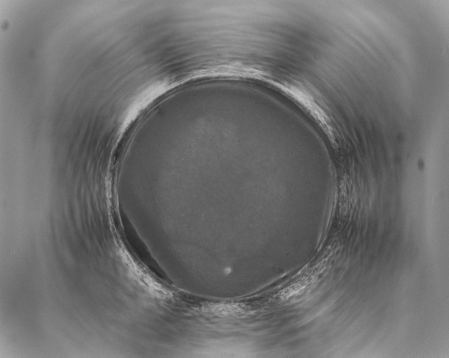 X0000087020998200704301309