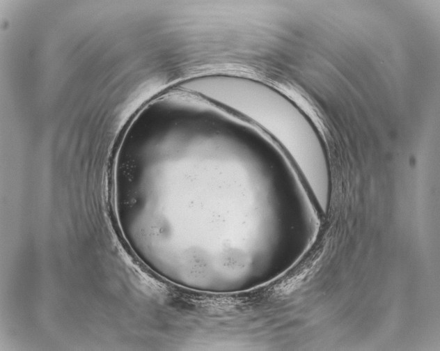 X0000087020999200704301309