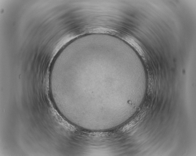 X0000087021000200704301309