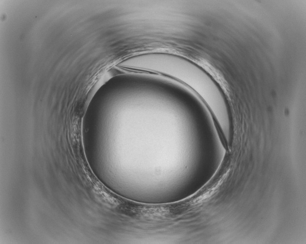 X0000087021001200704301309