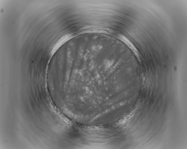 X0000087021002200704301309